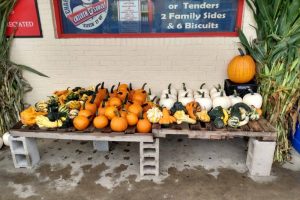 Outdoor fall display of pumpkins and gourds on a wooden table supported by concrete blocks, arranged in orange, white, and green varieties against a brick wall with banners above.