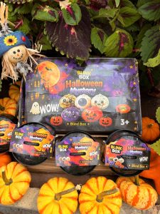 Halloween Mystery blind box set with pumpkins and spooky artwork, displayed among small orange gourds and green leaves.
