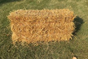 Rectangular bale of straw resting on a grassy field in sunlight.